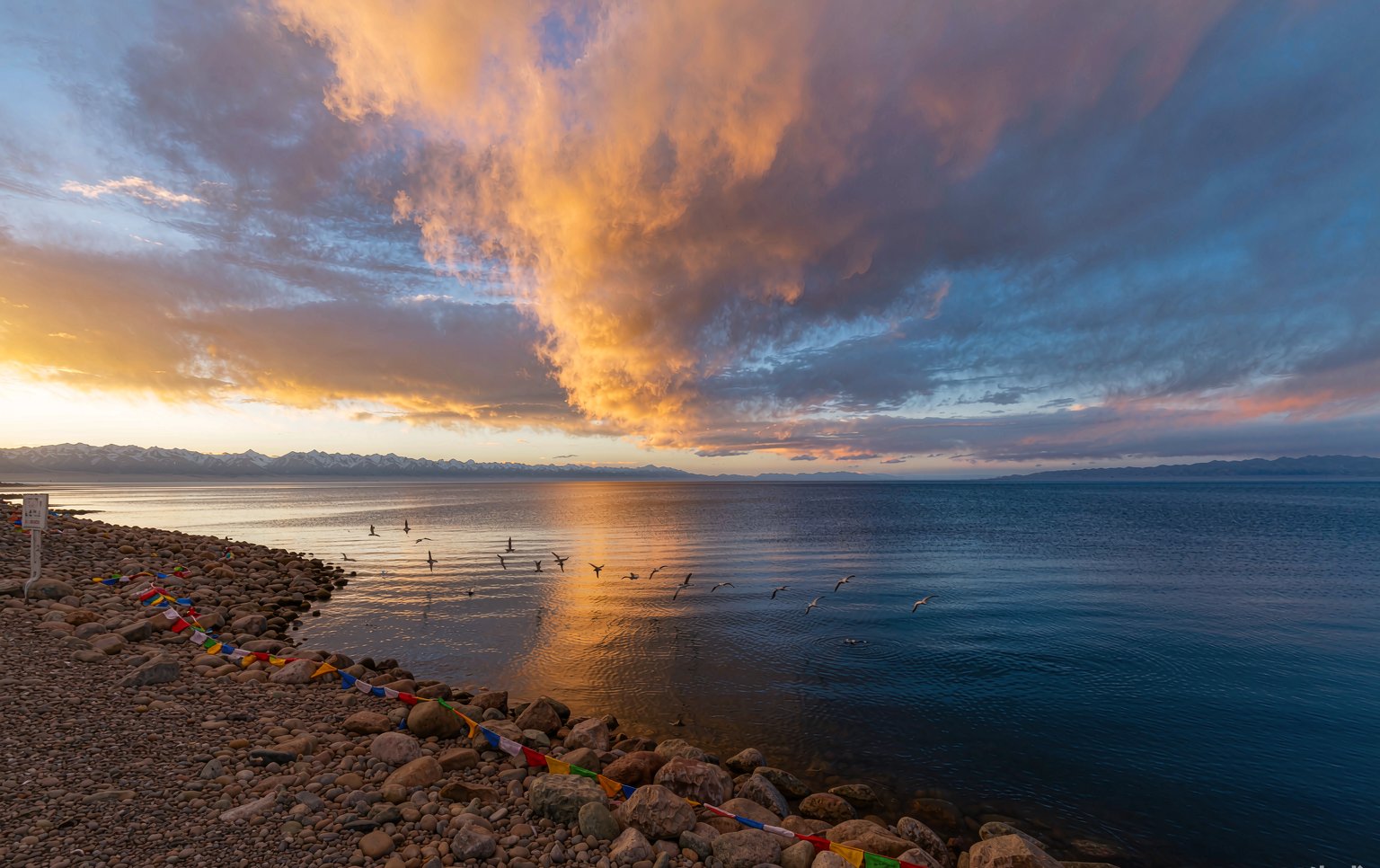 Qinghai Lake custom tour from Malaysia